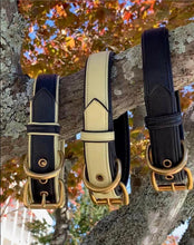 Load image into Gallery viewer, Genuine Leather Dog Collar: Regents Collar