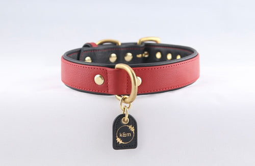 Genuine Leather Dog Collar: Athens Collar
