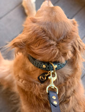 Load image into Gallery viewer, Genuine Leather Dog Collar: Saint -Yves Collar