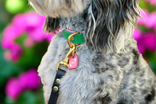Load image into Gallery viewer, Bestseller// Genuine Leather Dog Collar: Pip Collar  Equestrian Green &amp; Hot Pink Dog Collar