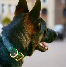 Load image into Gallery viewer, Genuine Leather Dog Collar: Ravenna Collar