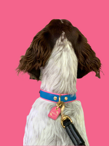 Genuine Leather Dog Collar: Key Largo Collar