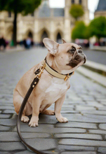 Load image into Gallery viewer, Genuine Leather Dog Collar: Dover Collar