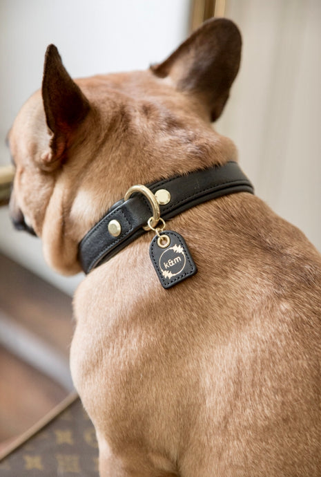 Genuine Leather Dog Collar: Ascot Collar