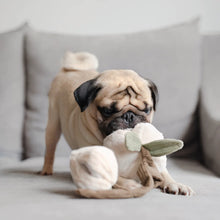 Load image into Gallery viewer, Momo 桃 (Peaches in Japanese) Dog Play Object