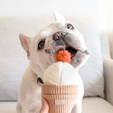 Load image into Gallery viewer, A Winning Pup Pleaser Ice Cream Pop Bouncy + Snuffle Play Object