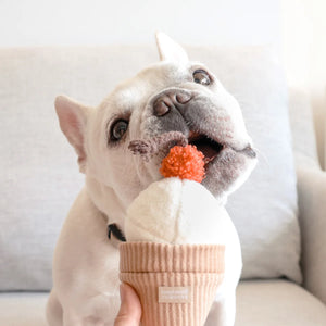 A Winning Pup Pleaser Ice Cream Pop Bouncy + Snuffle Play Object
