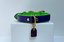 Load image into Gallery viewer, Genuine Leather Dog Collar: Islamorada Collar