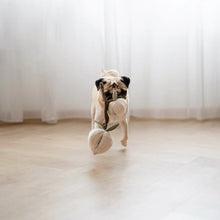 Load image into Gallery viewer, Momo 桃 (Peaches in Japanese) Dog Play Object