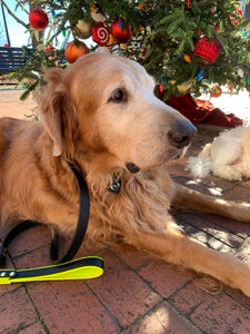 Monaco Grip For Dog Leads