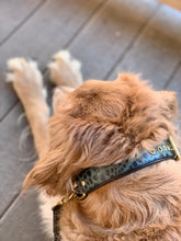 Load image into Gallery viewer, Genuine Leather Dog Collar: Saint -Yves Collar