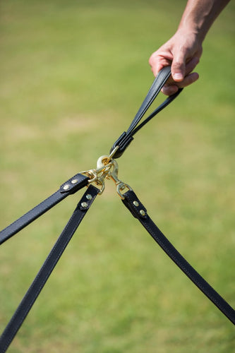 Ascot Grip with multiple dog leads