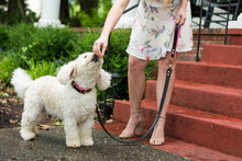 Load image into Gallery viewer, Catalina Grip For Dog Leads