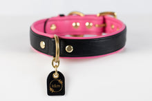 Load image into Gallery viewer, Genuine Leather Dog Collar: Catalina Collar