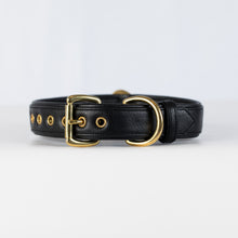 Load image into Gallery viewer, The Ascot Dog Collar