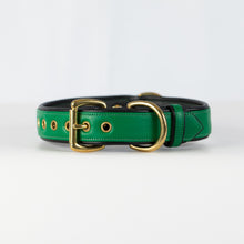 Load image into Gallery viewer, Emerald and Black Dog Collar