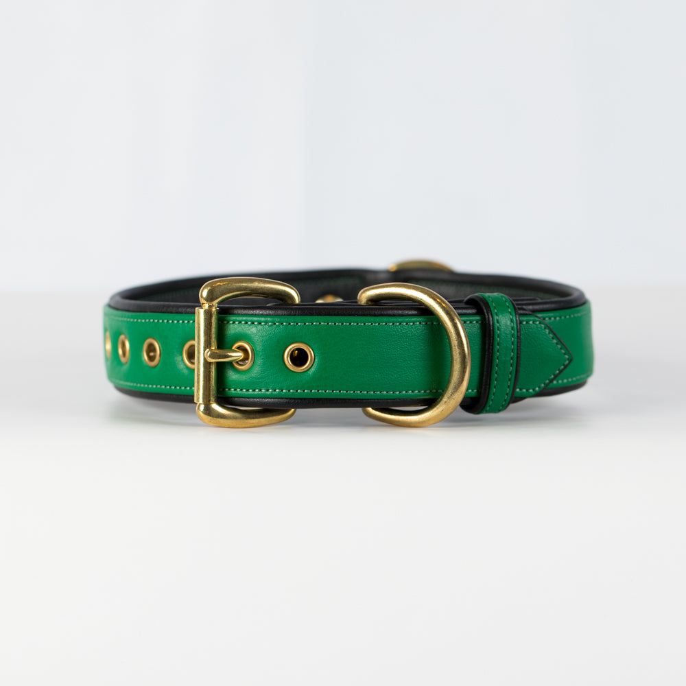 Emerald and Black Dog Collar