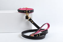 Load image into Gallery viewer, Genuine Leather Dog Collar: Catalina Collar