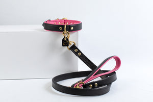 Catalina Grip For Dog Leads
