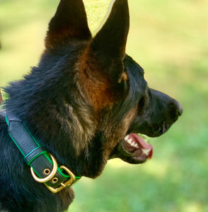 Genuine Leather Dog Collar: Ravenna Collar
