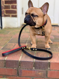 Genuine Leather Dog Collar: Dooley Collar