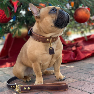 Barneys Grip For Dog Leads