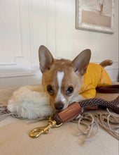 Load image into Gallery viewer, Genuine Shearling, Leather, &amp; Nylon Rope Leash For Dogs: St. Moritz Leash