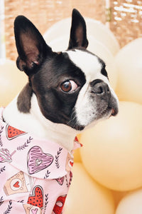 dog shirt all breeds, pink shirt, pink dog shirt, shirt for dogs, all sizes shirt, printed shirt dog, funny shirt for dogs