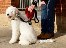 Load image into Gallery viewer, Genuine Shearling, Leather, &amp; Nylon Rope Leash  For Dogs: Méribel Leash