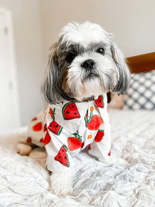 Customer FAV! Dog Shirt "Tutti Frutti" For All Breeds & Sizes