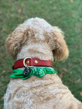 Load image into Gallery viewer, Genuine Leather Dog Collar: Athens Collar
