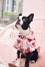 Load image into Gallery viewer, Dog Shirt &quot;Brunch Date&quot; For All Breeds &amp; Sizes