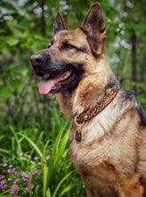 Load image into Gallery viewer, Genuine Leather Dog Collar: Diana Collar