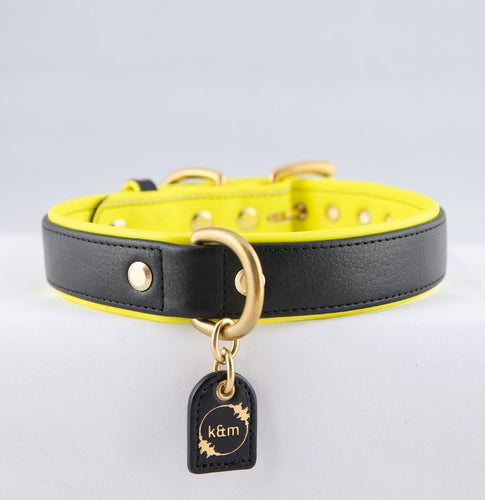 Genuine Leather Dog Collar: Monaco Collar