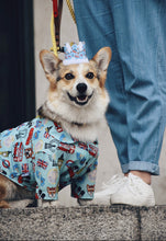 Load image into Gallery viewer, t-shirt for dogs  blue color dog shirt  shirt for pets  pet shirt  brunch shirt  shirt with print  blue shirt  shirt for dog