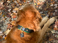 Load image into Gallery viewer, Genuine Leather Dog Collar: Ravenna Collar