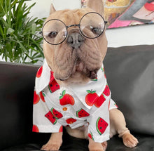 Load image into Gallery viewer, Customer FAV! Dog Shirt &quot;Tutti Frutti&quot; For All Breeds &amp; Sizes