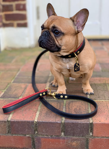 Dooley Grip For Dog Leads