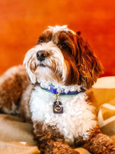 Load image into Gallery viewer, Genuine Leather Dog Collar: Islamorada Collar