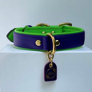 leather dog collar for medium dogs