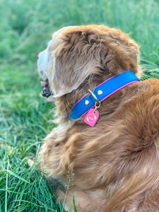 Genuine Leather Dog Collar: Key Largo Collar