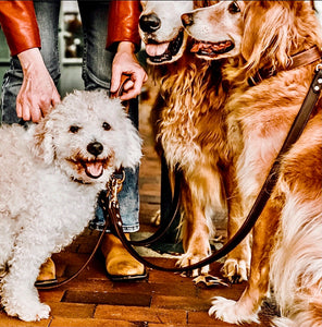 Barneys Grip For Dog Leads
