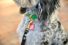 Load image into Gallery viewer, Bestseller// Genuine Leather Dog Collar: Pip Collar  Equestrian Green &amp; Hot Pink Dog Collar