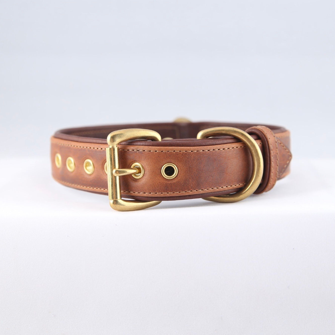 Genuine Leather Dog Collar: Barneys Collar